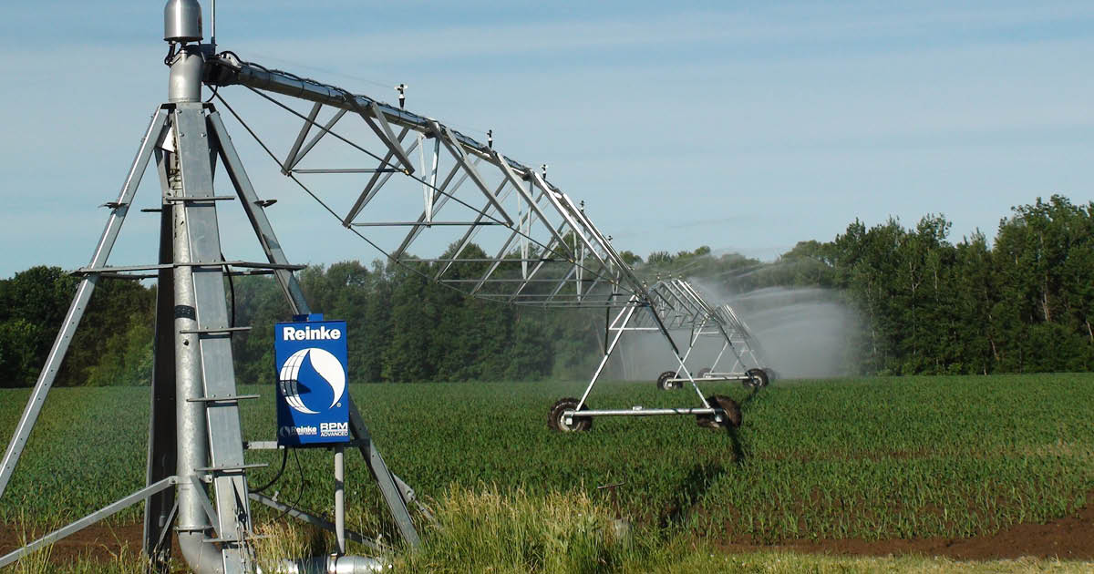 Reinke Irrigation: Il Nuovo Partner per un'Irrigazione all'Avanguardia in Italia!