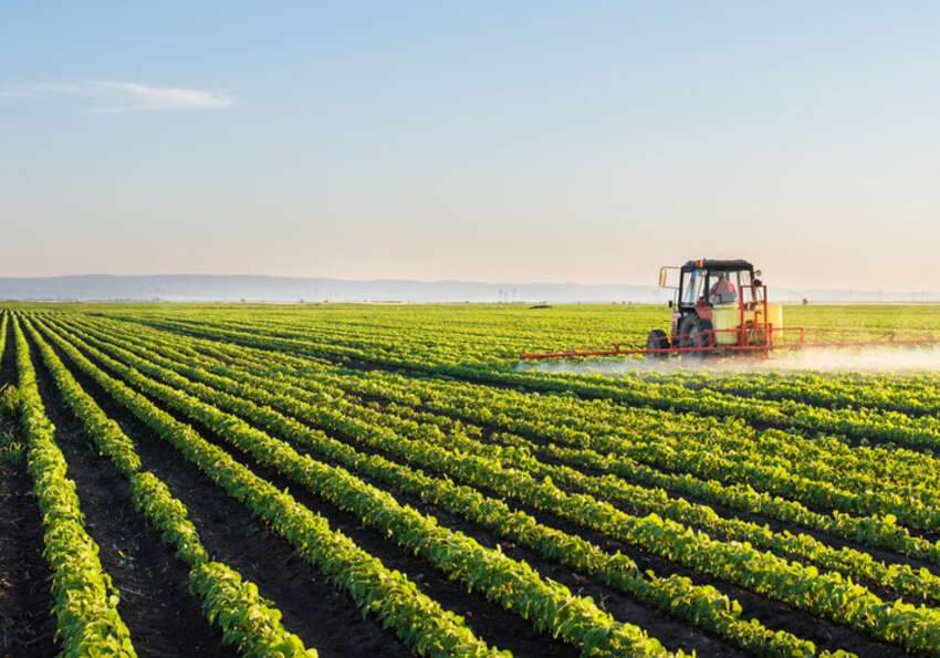 PNRR e Fondo Ismea, i nuovi fondi per l’innovazione nel settore agricolo
