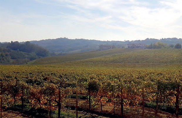 Porte Aperte Casella 2025